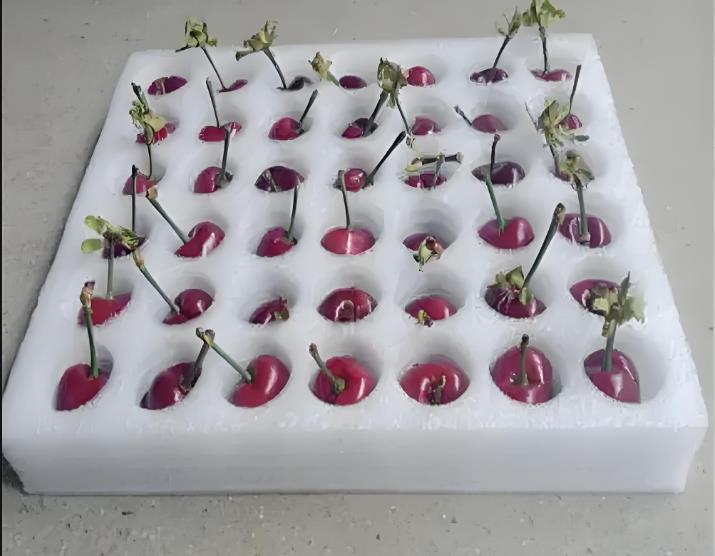 珍珠棉水果托防震內托